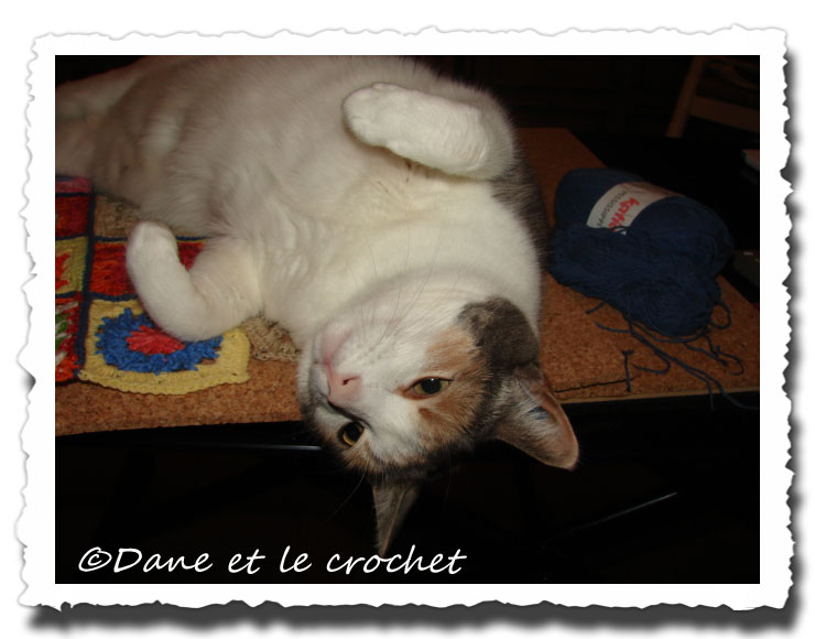 Dane-et-le-Crochet-pastel-sur-gilet.jpg