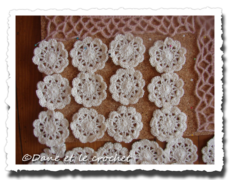 Dane-et-le-Crochet-grandes-fleurs--1.jpg