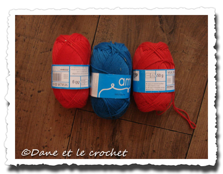 Dane-et-le-Crochet-pour-mamyrose.jpg
