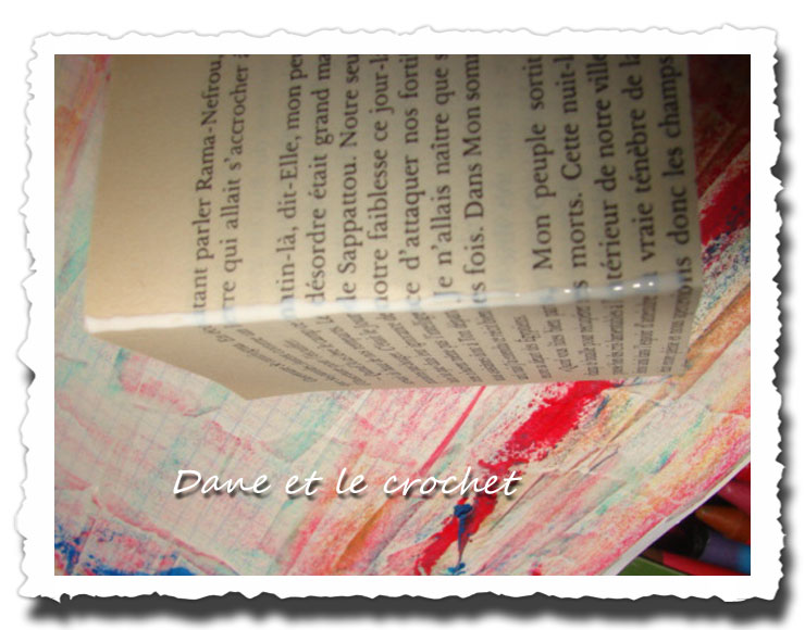 dane-et-le-crochet--couverture-de-livre-02.jpg