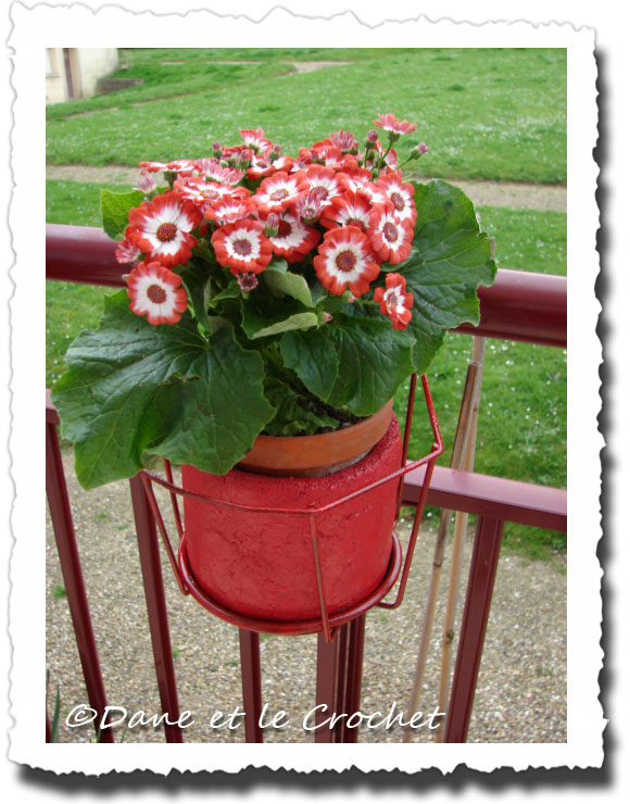 Dane-et-le-Crochet-jardinieres-rouge-4.jpg