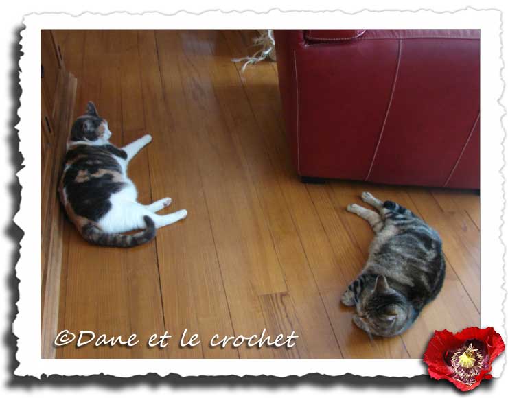 Dane-et-le-Crochet---pppppppastel-lilou-.jpg