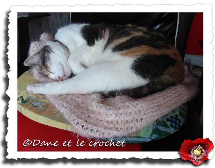 Dane-et-le-Crochet--pastel-dort.jpg
