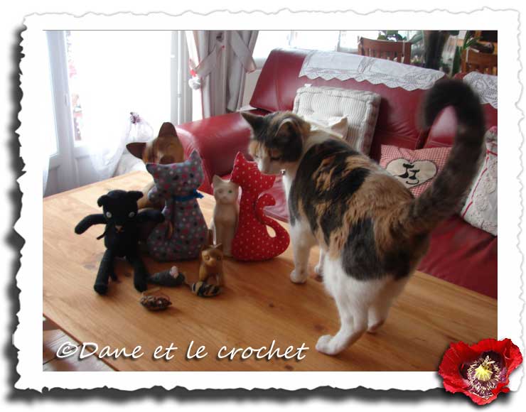 Dane-et-le-Crochet-mes-chats-2.jpg