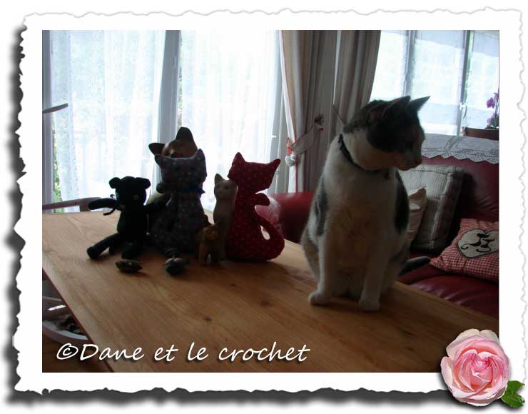 Dane-et-le-Crochet-mes-chats.jpg