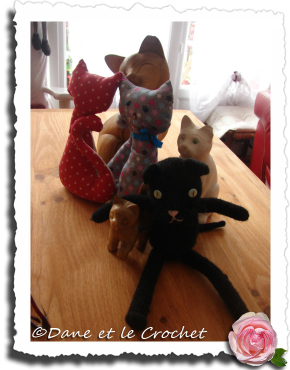 Dane-et-le-Crochet-mes-chats4jpg.jpg