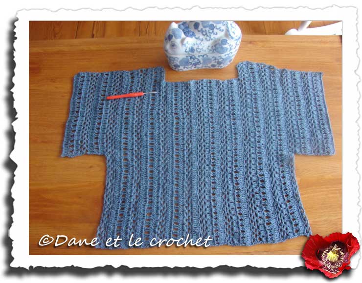 Dane-et-le-Crochet-dos.jpg