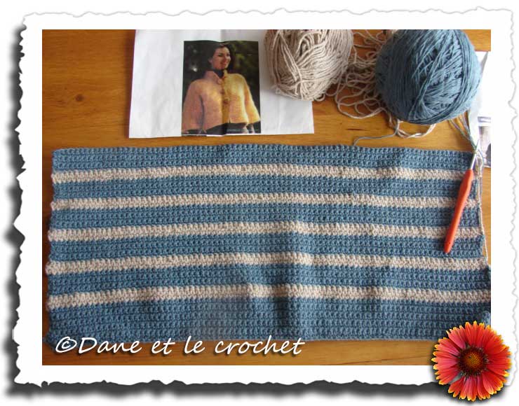 Dane-et-le-Crochet-pastel-debut-de-la-petite-veste.jpg
