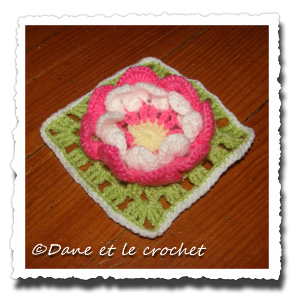 Dane-et-le-Crochet-grannys-lotus-3.jpg