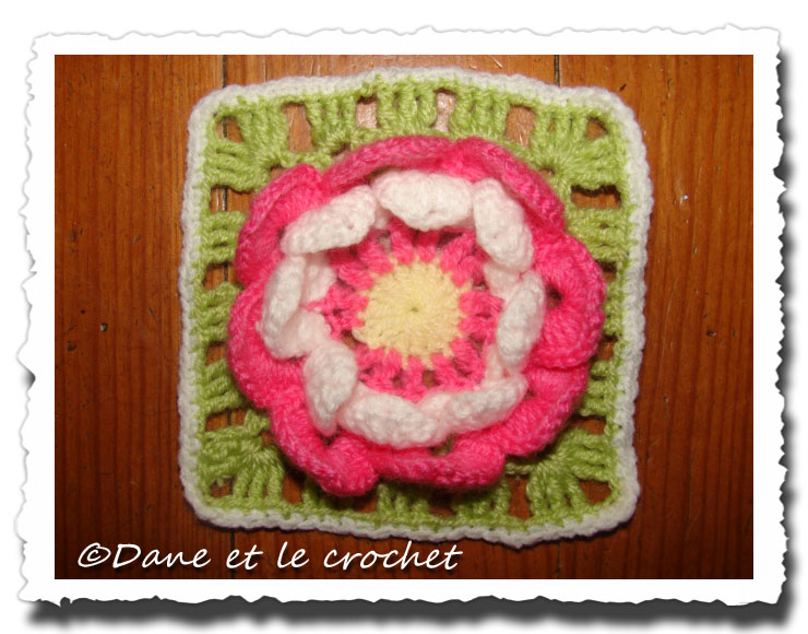 Dane-et-le-Crochet-grannys-lotus.-2jpg.jpg