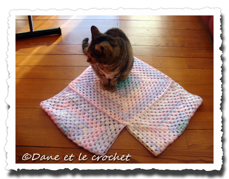 Dane-et-le-Crochet-poncho--lilou.jpg
