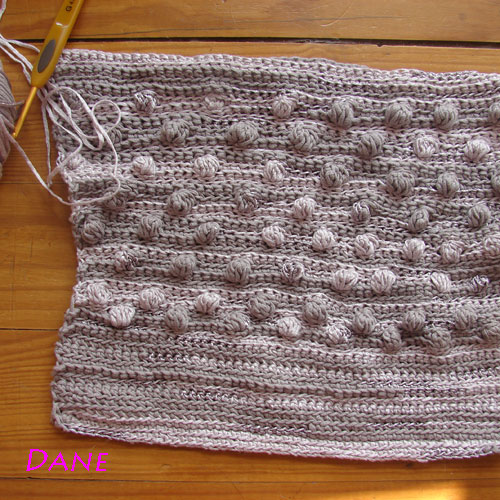 Dane-et-le-crochet-1SC04709.jpg
