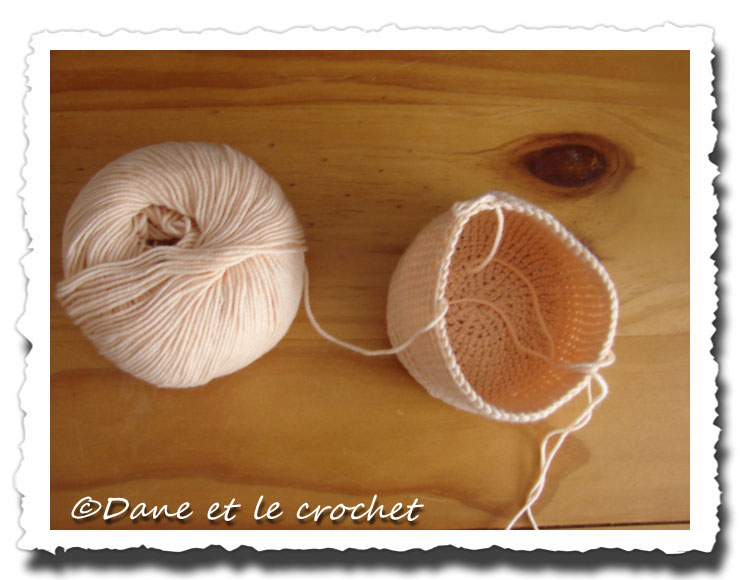 Dane-et-le-Crochet--debut-de-la-tete-01.jpg