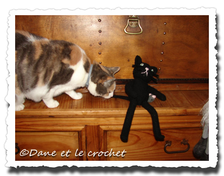 Dane-et-le-Crochet-Pastel-et-le-chat.-2jpg.jpg