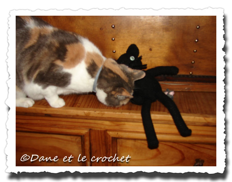 Dane-et-le-Crochet-Pastel-et-le-chat.jpg