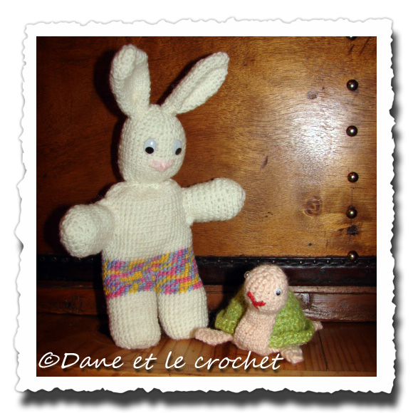 Dane-et-le-Crochet--lapin-et-la-tortue.carreejpg.jpg