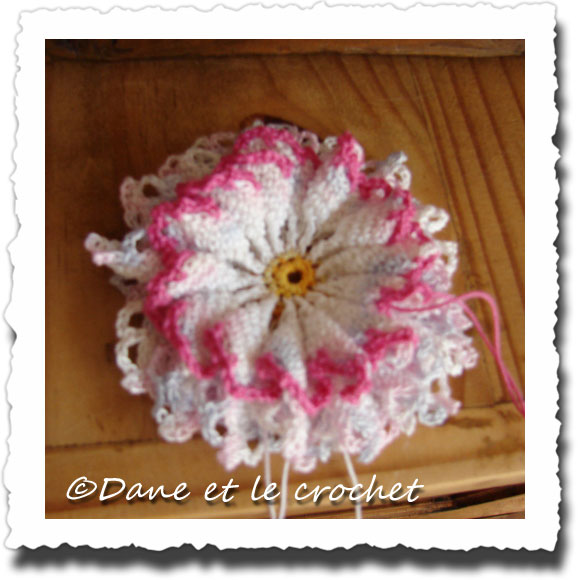 Dane-et-le-Crochet-photo-fleur-2.jpg