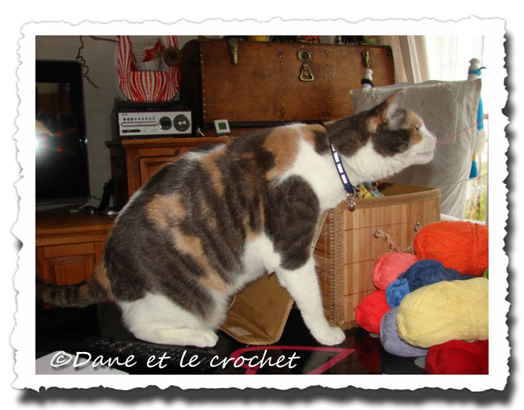 Dane-et-le-Crochet--pastel-panier3.jpg