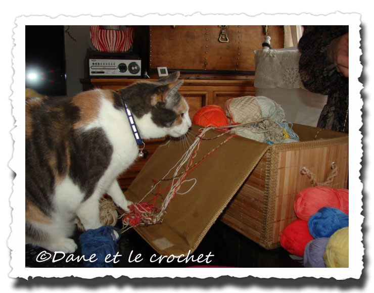 Dane-et-le-Crochet-pastel.-panier.2.jpg
