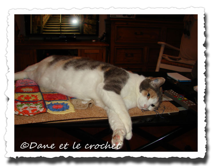 Dane-et-le-Crochet-pastel-sur-gilet.2.jpg