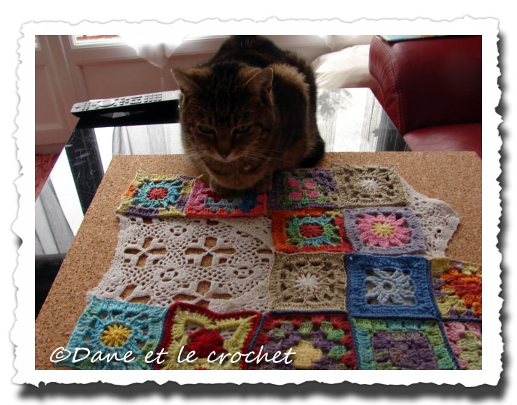 Dane-et-le-Crochet-lilou-inspecte.jpg