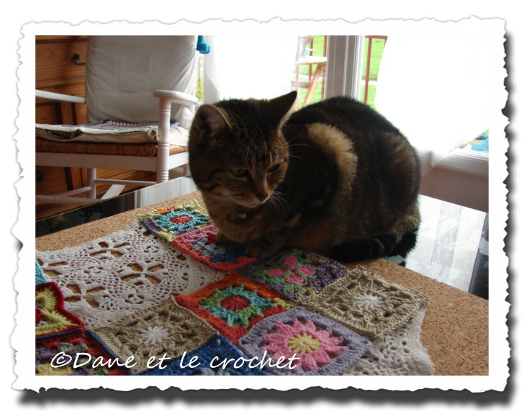 Dane-et-le-Crochet-lilou-inspecte2.jpg