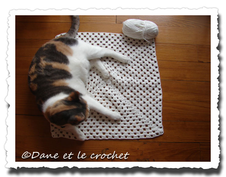 Dane-et-le-Crochet-Pastel-sur-granny.-2.jpg