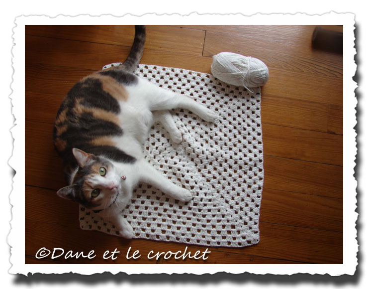 Dane-et-le-Crochet-Pastel-sur-granny.jpg