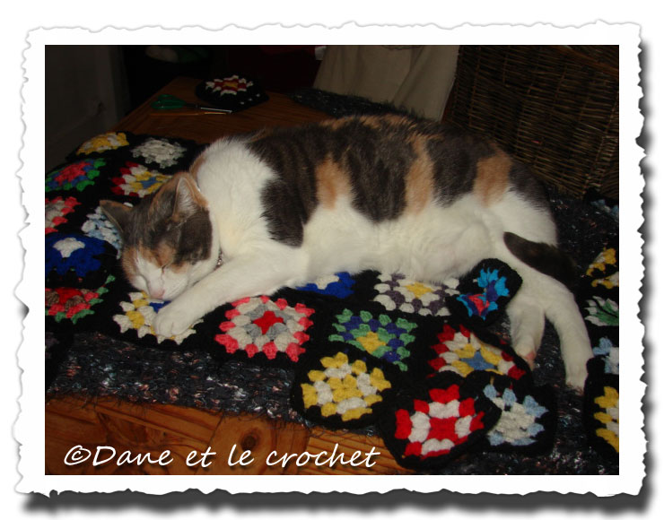 Dane-et-le-Crochet-Pastel-sur-granny3.jpg