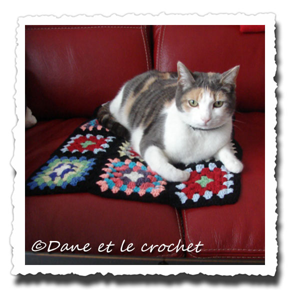Dane-et-le-Crochet-mes-grannys-4jpg.jpg