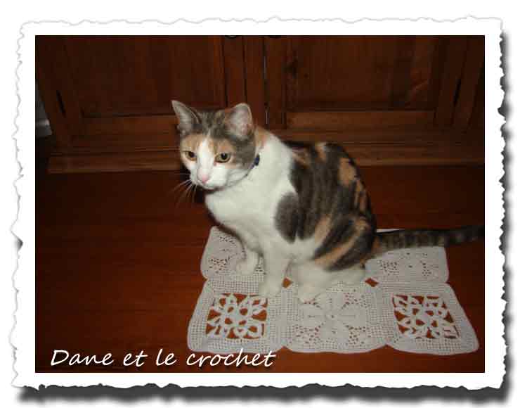 Dane-et-le-crochet-grannys-bl-05.jpg