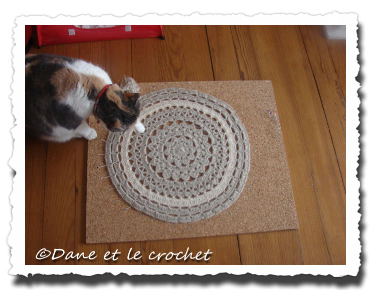 Dane-et-le-Crochet-blocage-3.jpg