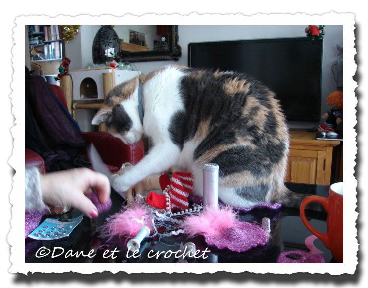 Dane-et-le-Crochet--Pastel-m_-aide-4.jpg