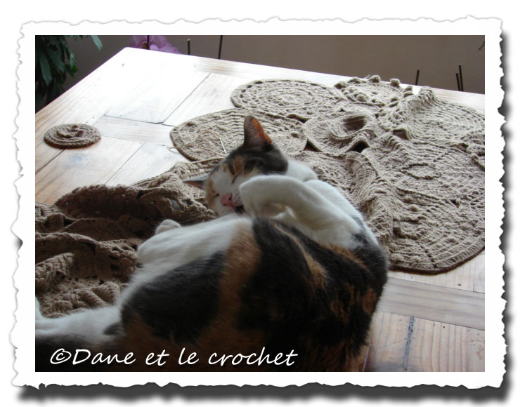 Dane-et-le-Crochet-etole-Pastel-01.jpg
