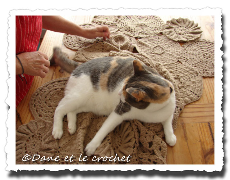 Dane-et-le-Crochet-etole-Pastel-03.jpg