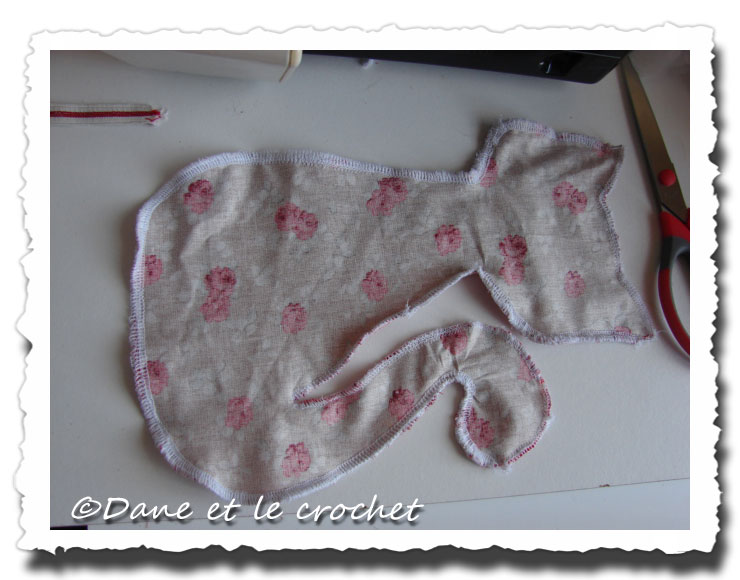 Dane-et-le-Crochet--chatte-cousue.-2jpg.jpg