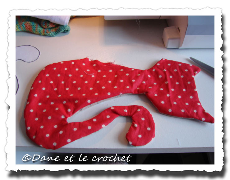 Dane-et-le-Crochet--chatte-cousue.jpg