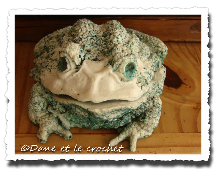 Dane-et-le-Crochet--grenouille-avant.jpg