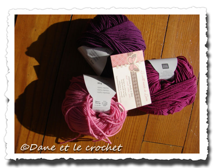 Dane-et-le-Crochet-laines-3jpg.jpg