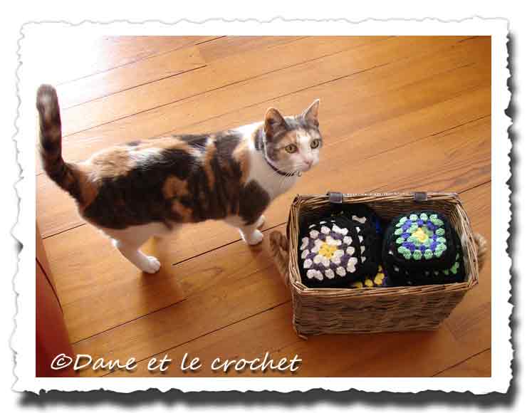 Dane-et-le-Crochet---4-ans-1.jpg