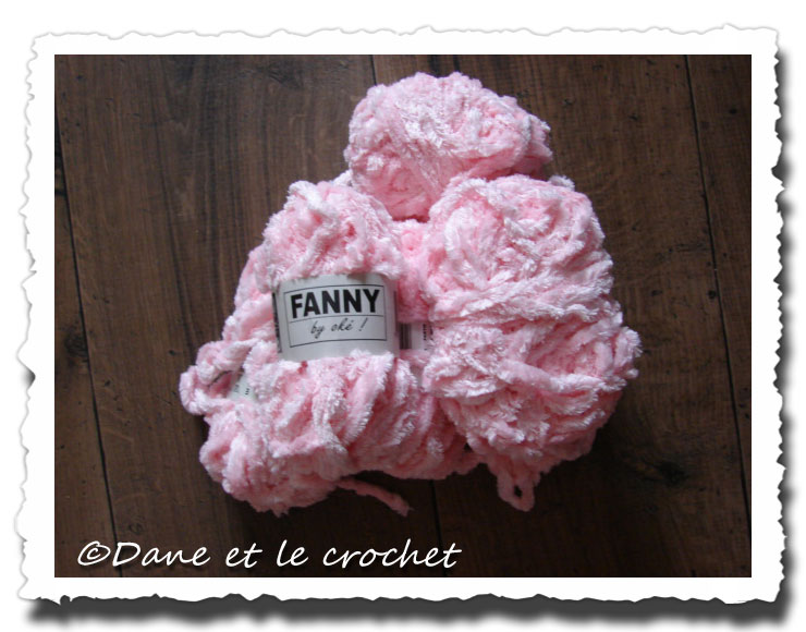 Dane-et-le-Crochet-pour-daisy.jpg
