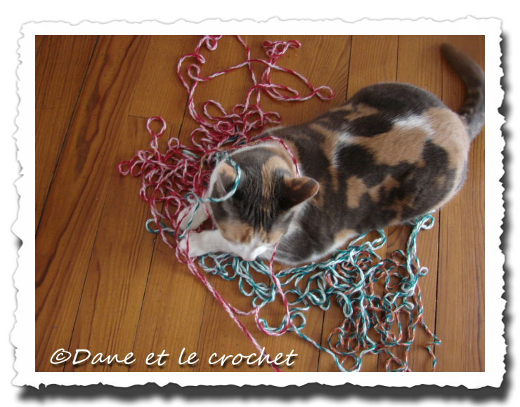 Dane-et-le-Crochet-pastel--se-bat-avec-la-laine.jpg