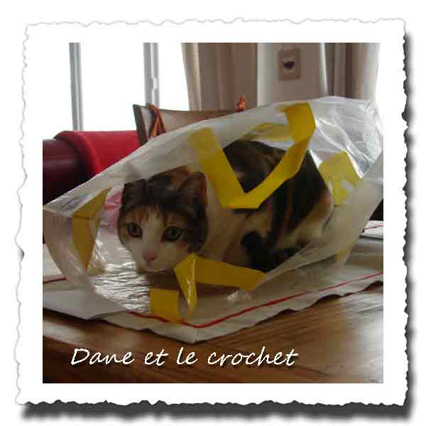 dane-et-le-crochet-Pastel-03.jpg