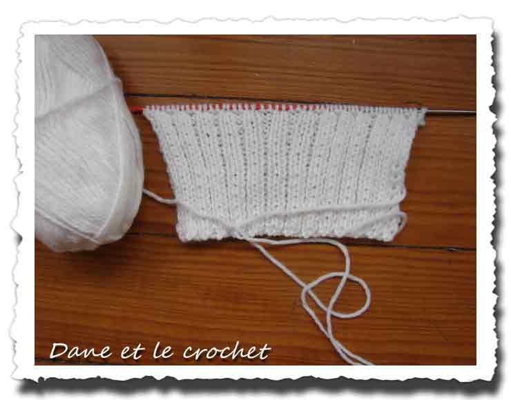 Dane-et-le-crochet-mitaines-00.jpg